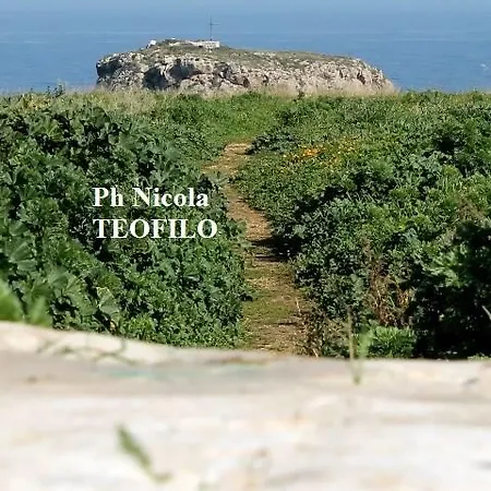 La Casetta Di Chiara 滨海波利尼亚诺