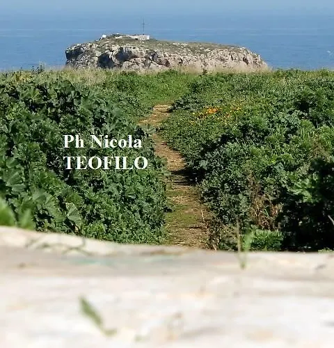La Casetta Di Chiara Polignano a Mare