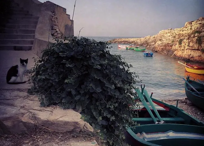 Bed and breakfast La Casetta Di Chiara